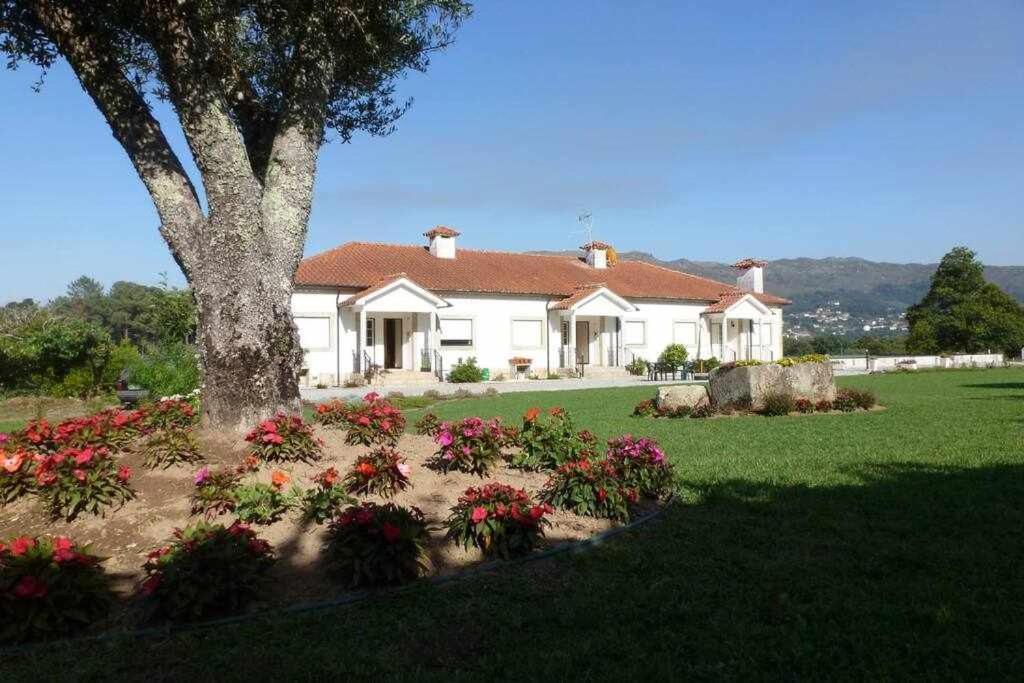 Quinta dos Brazilaves Ponte de Lima Exterior foto
